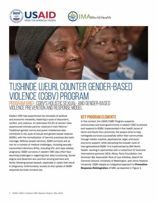 Tushinde Ujeuri, Counter Gender-Based Violence (CGBV) Program: CGBV's holistic sexual and gender-based violence prevention and response model