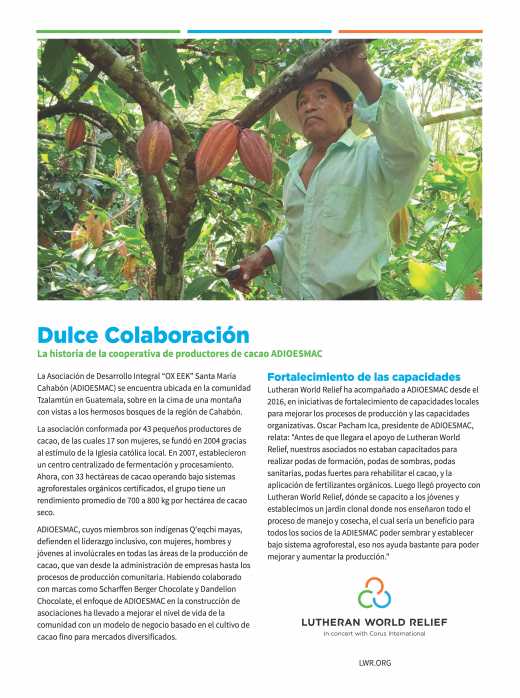 Dulce Colaboración: La historia de la cooperativa de productores de cacao ADIOESMAC 