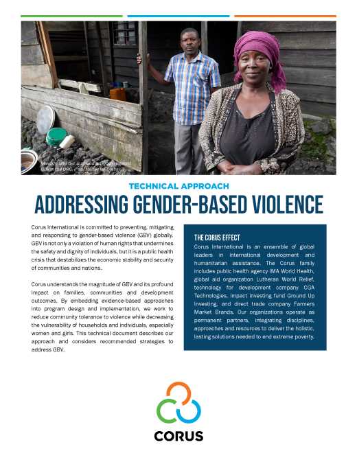 Gender-Based Violence Technical Approach 